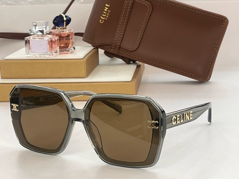 Celine Glasses smx (107)